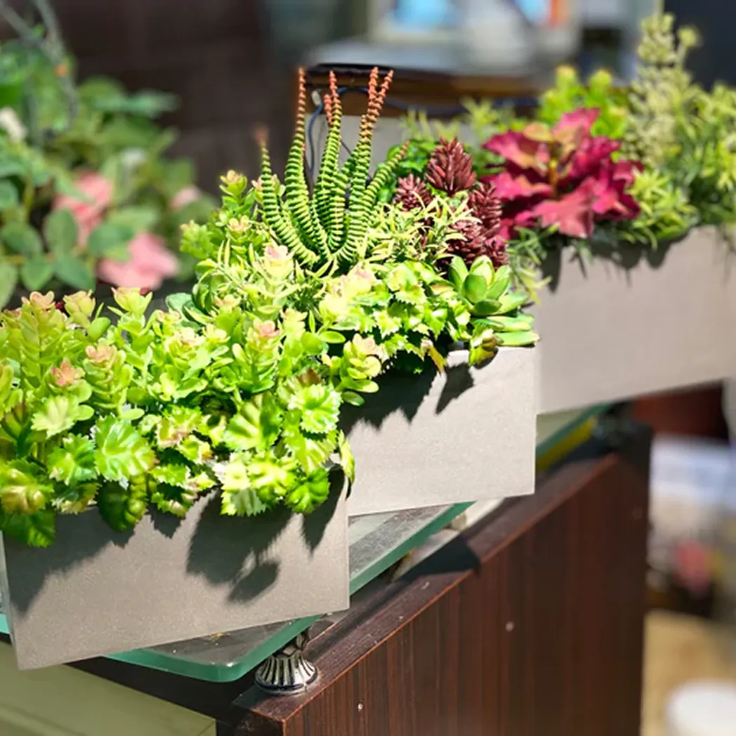 Mini mellamine with succullets