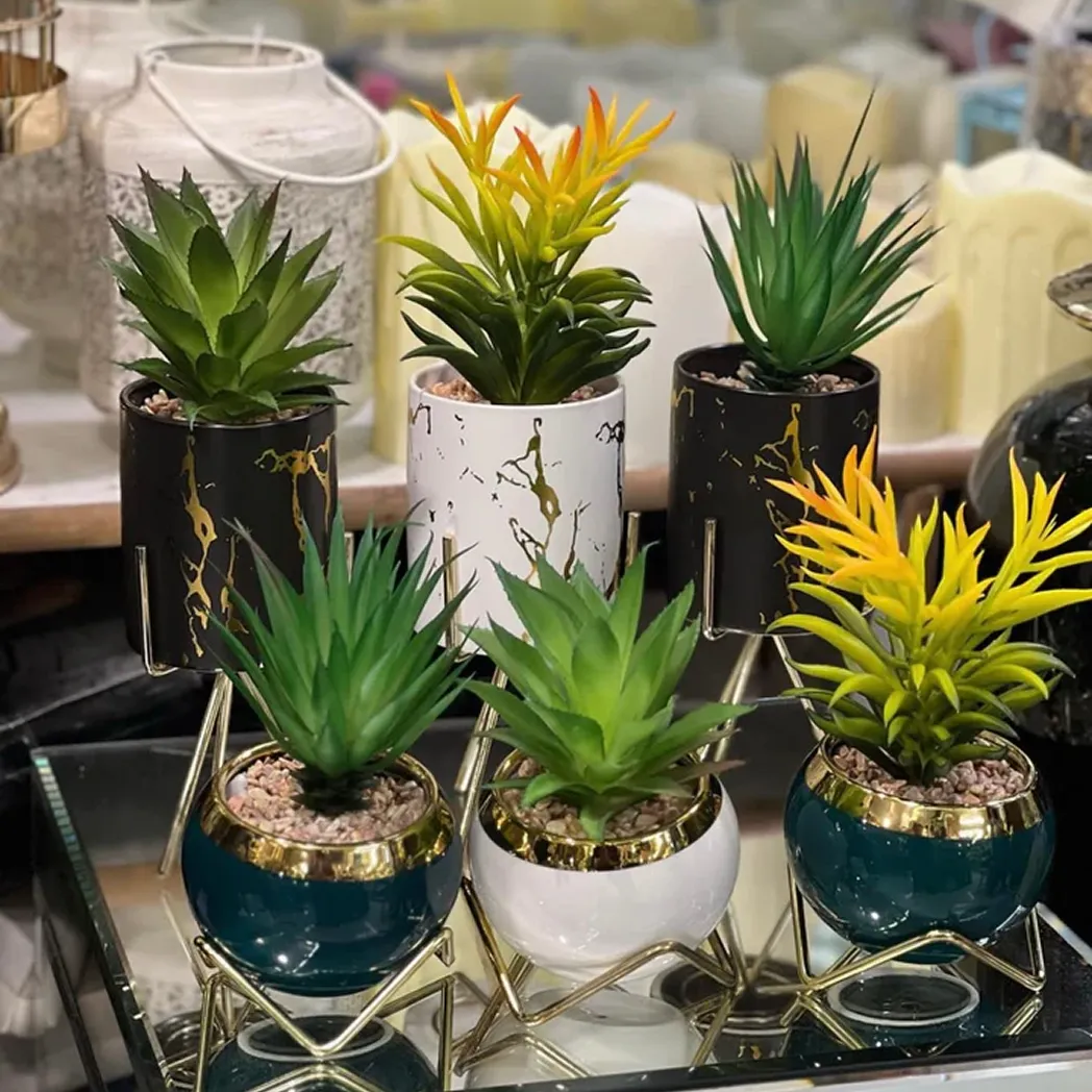 Small succulents with stands